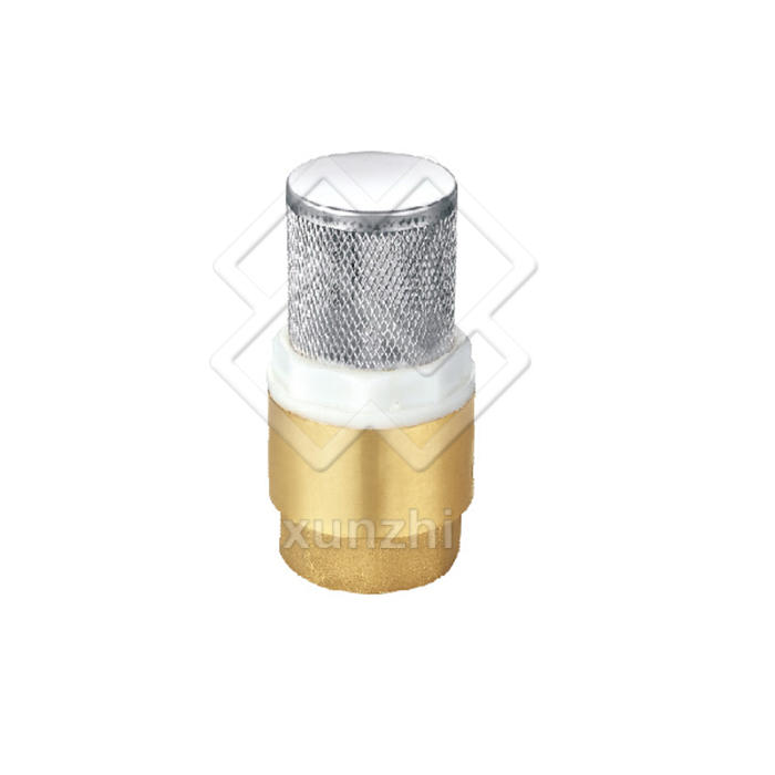 XFM05011 Обратный клапан с фильтром из нержавеющей стали